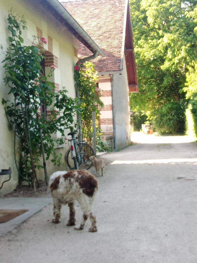 שברני Cottages Et B&B De Troussay מראה חיצוני תמונה