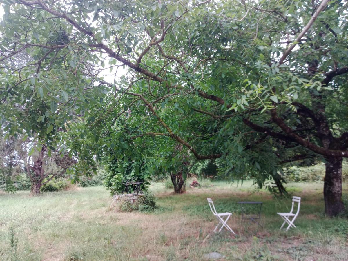 שברני Cottages Et B&B De Troussay מראה חיצוני תמונה
